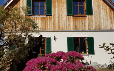 Einer von 300.000: Adrian Rauschenbach genießt umweltschonende Wärme im energieeffizienten Holzhaus