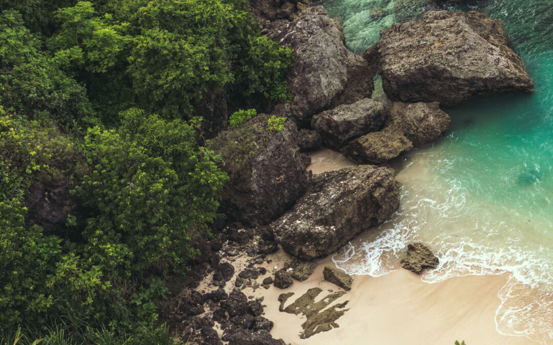 Wann ist die Erde aufgebraucht? Earth Overshoot Day 2028